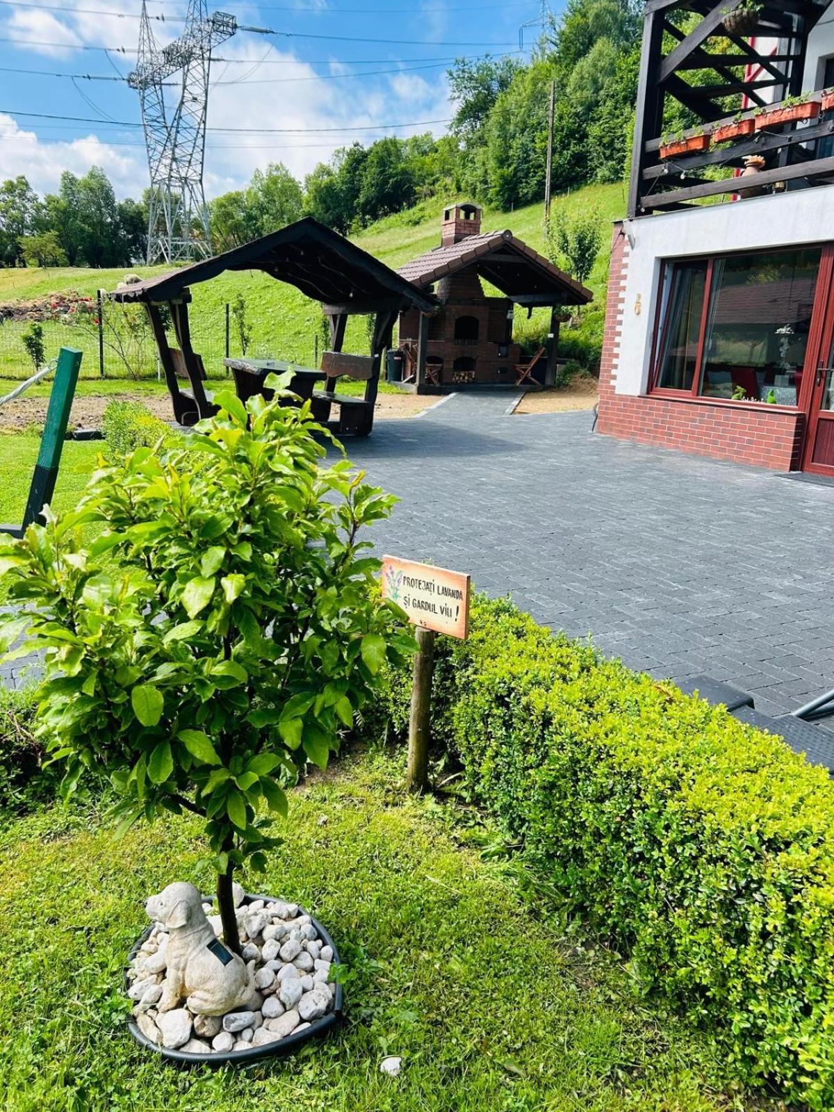 Colț Viu Chalet Bran  Exterior foto