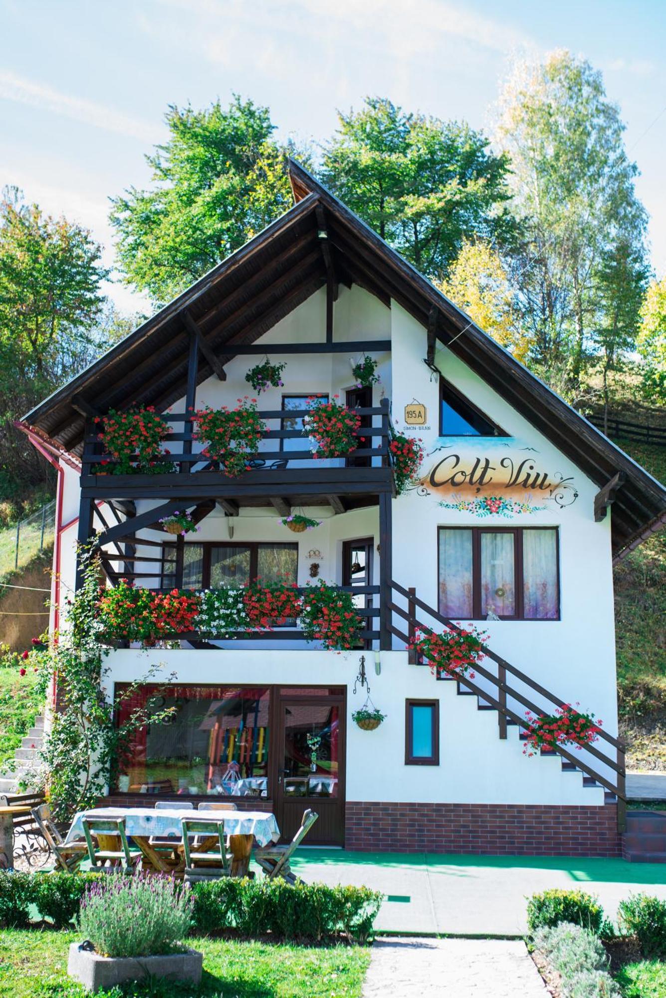 Colț Viu Chalet Bran  Exterior foto
