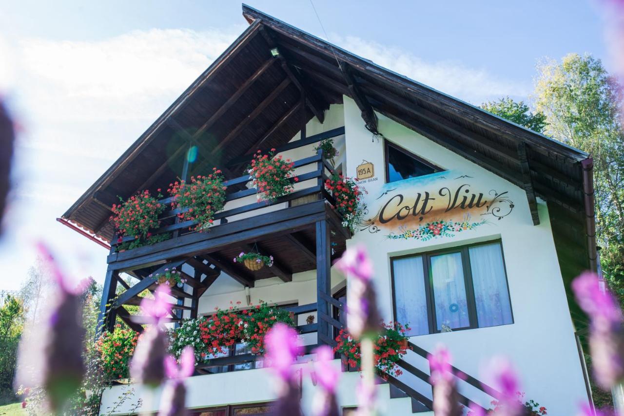 Colț Viu Chalet Bran  Exterior foto